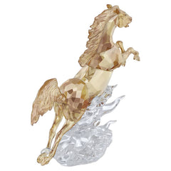 Asian Symbols Leaping Horse