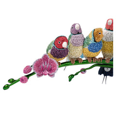 Crystal Myriad Gouldian Finches