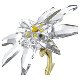 Florere 130th Anniversary Bell Jar