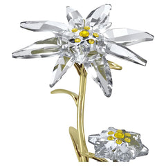 Florere 130th Anniversary Bell Jar