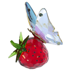 Idyllia Butterfly and Strawberry