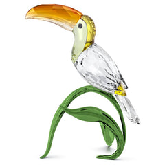 Idyllia Toucan