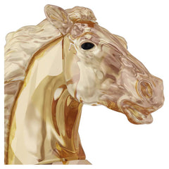 Asian Symbols Leaping Horse