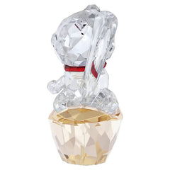 Asian Symbols Lucky Cat