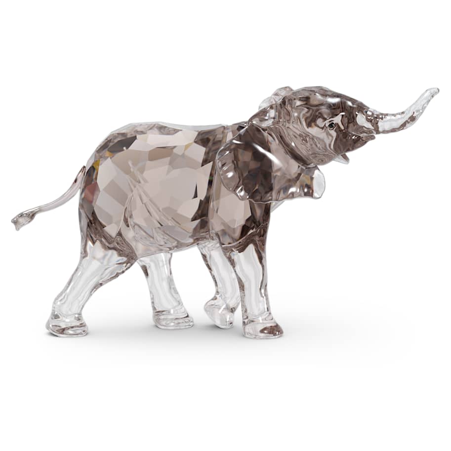 Elegance of Africa SCS Elephant Baby Mandisa