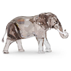 Elegance of Africa SCS Jubilee Edition 2022 Elephant Zena