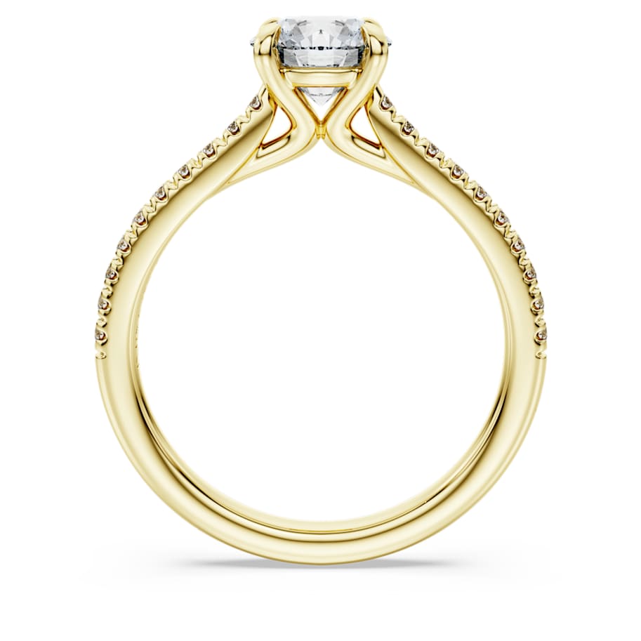 Eternity solitaire ring