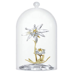 Florere 130th Anniversary Bell Jar
