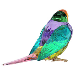Idyllia SCS Gouldian Finch