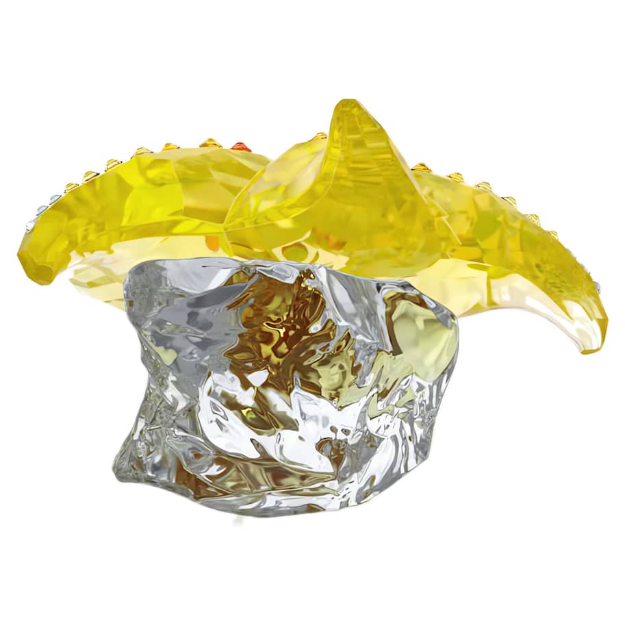 Idyllia SCS Starfish