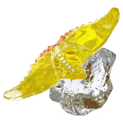 Idyllia SCS Starfish