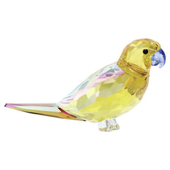 Jungle Beats Yellow Parakeet Lechee