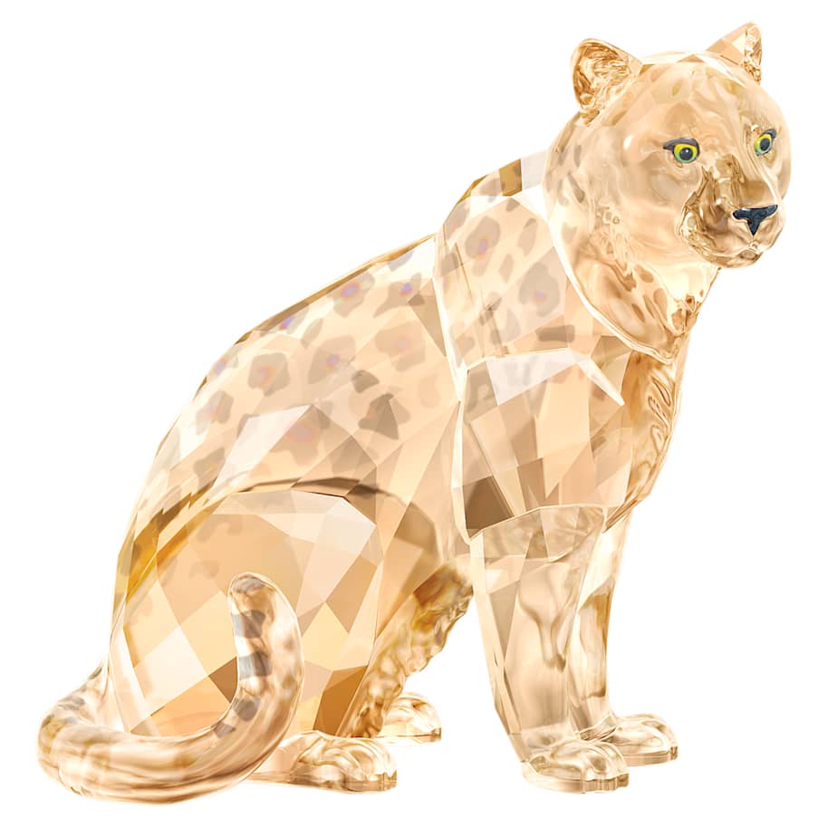 SCS A.E. 2019 Amur Leopard Sofia