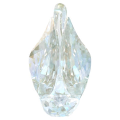 SCS Annual Edition Swan 2024