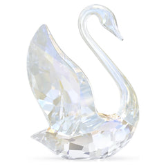 SCS Annual Edition Swan 2024