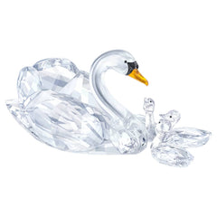 SCS Jubilee Edition 2017 Swans