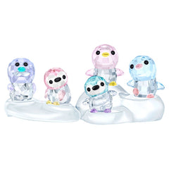 SCS Little Sister Patty