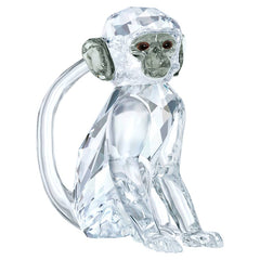 SCS Vervet Monkey (Event Piece 2018)